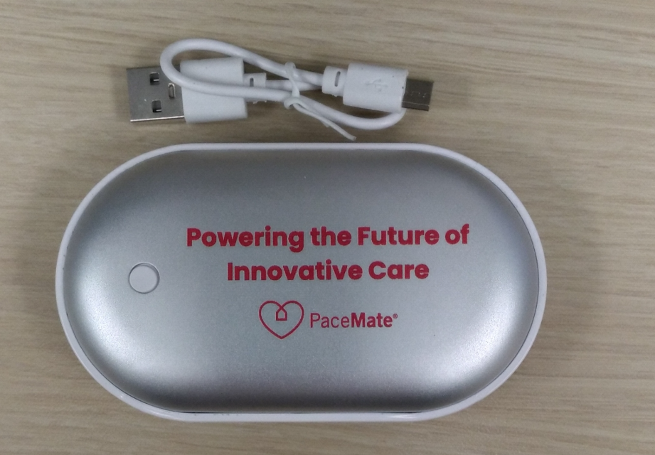 PaceMate Pebble Hand Warmer Power Bank (Eaches)